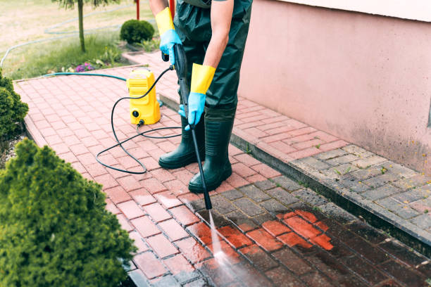 Boat and Dock Cleaning in The Hills, NJ